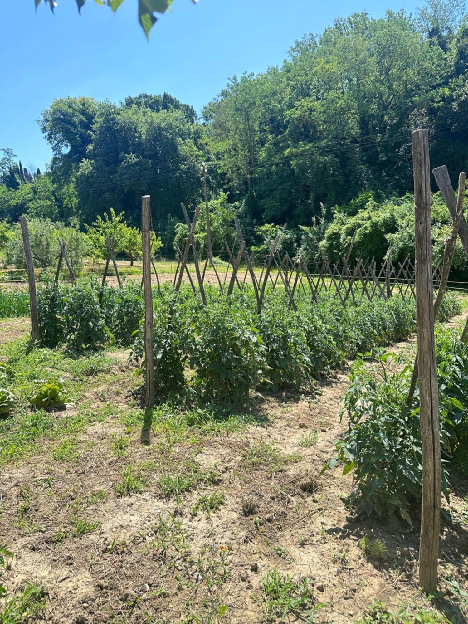 San Biagio Farm stay Montepulciano