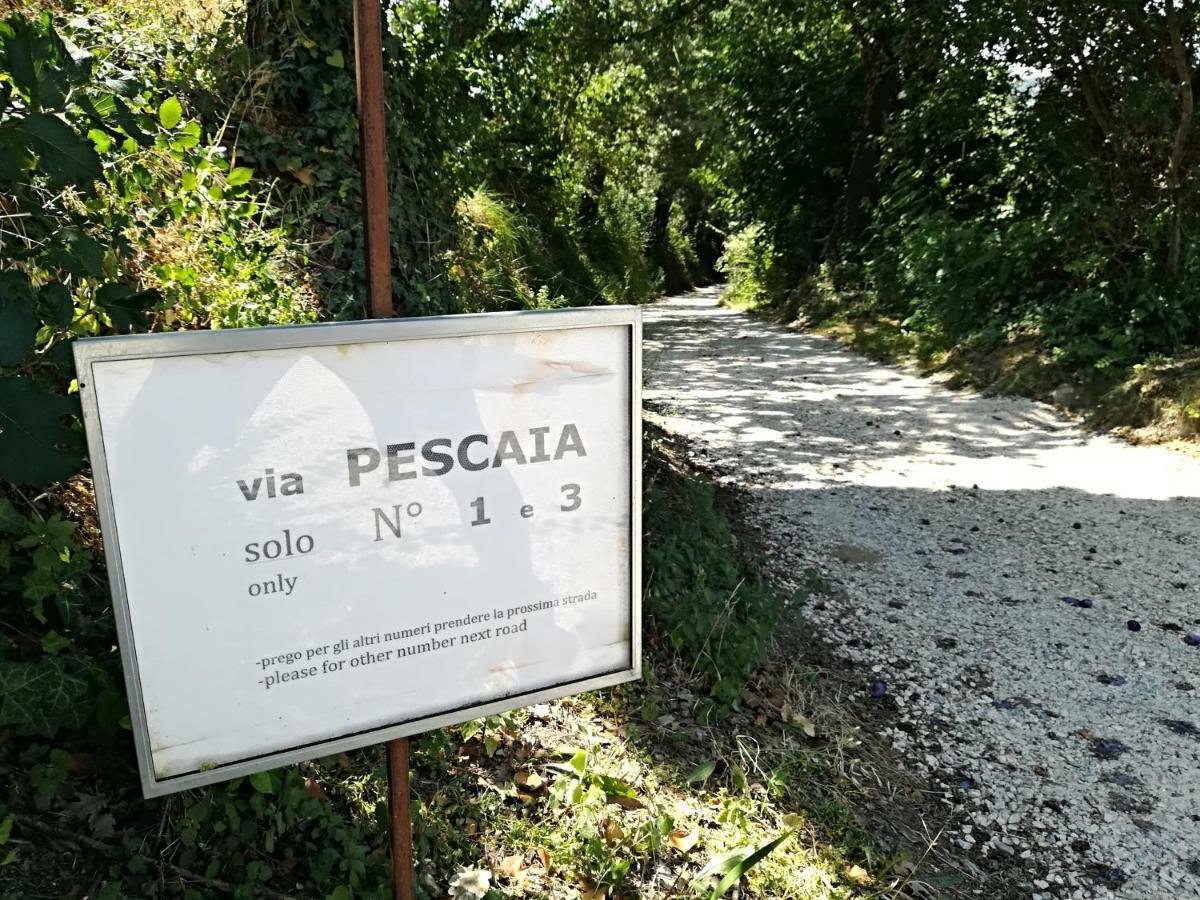 Farm stay San Biagio *