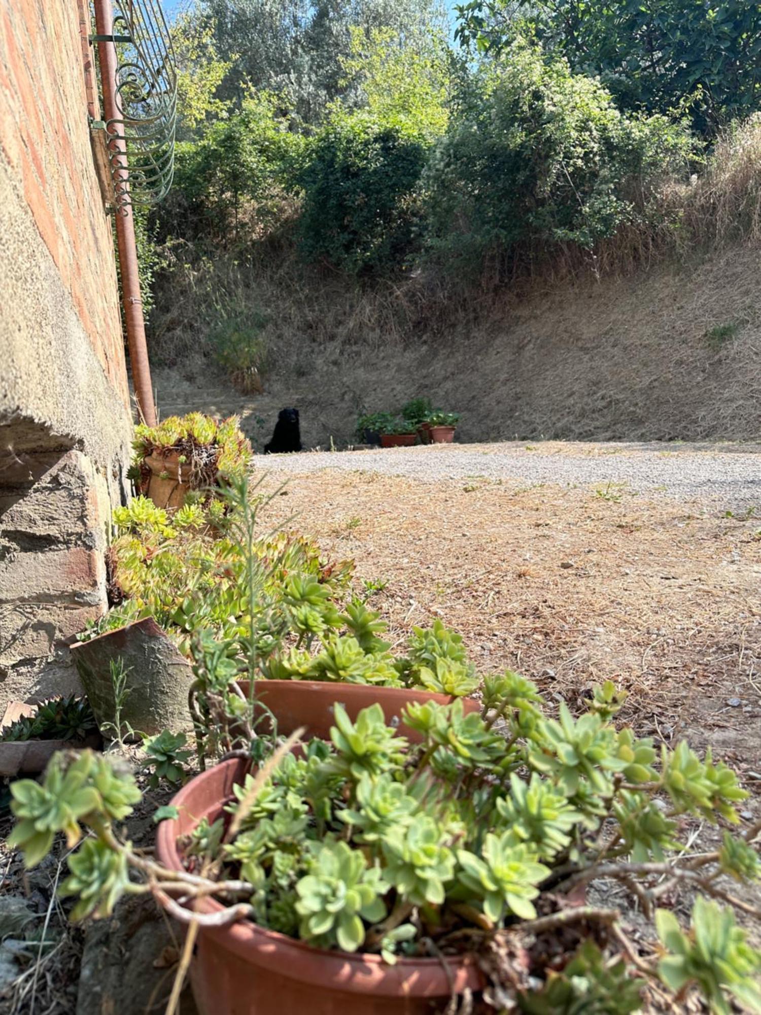 Bauernhof San Biagio *